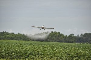 airplane crop duster spreads crops with toxic pesticides