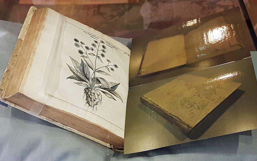 Herbal medine book from 1681